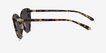 Anchor Tortoise AcetateSunglass Frames from EyeBuyDirect, Side View