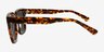 Los Angeles Tortoise AcetateSunglass Frames from EyeBuyDirect, Side View