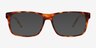 Sun Sydney Tortoise AcetateSunglass Frames from EyeBuyDirect, Front View