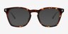 Stone Tortoise Alternative MaterialsSunglass Frames from EyeBuyDirect, Front View