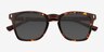 Stone Tortoise Alternative MaterialsSunglass Frames from EyeBuyDirect, Closed View