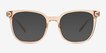 Chipper Clear Brown PlasticSunglass Frames from EyeBuyDirect, Front View
