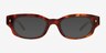 Hargrove Tortoise Alternative MaterialsSunglass Frames from EyeBuyDirect, Front View