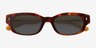 Hargrove Tortoise Alternative MaterialsSunglass Frames from EyeBuyDirect, Closed View