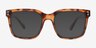 Hastings Tortoise Alternative MaterialsSunglass Frames from EyeBuyDirect, Front View