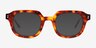 Shaw Tortoise Alternative MaterialsSunglass Frames from EyeBuyDirect, Front View