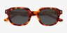 Shaw Tortoise Alternative MaterialsSunglass Frames from EyeBuyDirect, Closed View