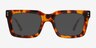 Kensley Tortoise Alternative MaterialsSunglass Frames from EyeBuyDirect, Front View