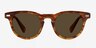 Newport Brown & Strip AcetateSunglass Frames from EyeBuyDirect, Front View