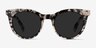 Divine Gray & Tortoise AcetateSunglass Frames from EyeBuyDirect, Front View