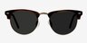 The Hamptons Brown Golden Acetate-metalSunglass Frames from EyeBuyDirect, Front View