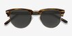 The Hamptons Brown Golden Acetate, MetalSunglass Frames from EyeBuyDirect, Closed View