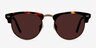 The Hamptons Golden Tortoise Acetate-metalSunglass Frames from EyeBuyDirect, Front View
