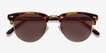 The Hamptons Golden Tortoise Acetate, MetalSunglass Frames from EyeBuyDirect, Closed View