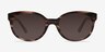 Matilda Brown & Tortoise AcetateSunglass Frames from EyeBuyDirect, Front View