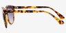 Nizhny Golden & Tortoise PlasticSunglass Frames from EyeBuyDirect, Side View