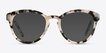 Augustine Ivory Tortoise AcetateSunglass Frames from EyeBuyDirect, Front View