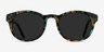 Coppola Green Tortoise AcetateSunglass Frames from EyeBuyDirect, Front View