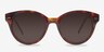 Angie Tortoise AcetateSunglass Frames from EyeBuyDirect, Front View