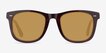 Nevada Brown Striped AcetateSunglass Frames from EyeBuyDirect, Front View