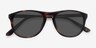 Silt Tortoise AcetateSunglass Frames from EyeBuyDirect, Closed View
