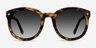 Paige Tortoise AcetateSunglass Frames from EyeBuyDirect, Front View