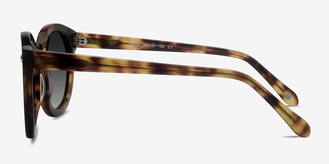 Paige Tortoise AcetateSunglass Frames from EyeBuyDirect, Side View