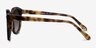 Paige Tortoise AcetateSunglass Frames from EyeBuyDirect, Side View
