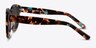 Rome Brown Floral AcetateSunglass Frames from EyeBuyDirect, Side View