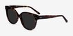 Lune Noire Tortoise AcetateSunglass Frames from EyeBuyDirect, Angle View