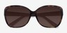 Sevilla Tortoise AcetateSunglass Frames from EyeBuyDirect, Closed View