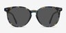 Meraki Blue Floral AcetateSunglass Frames from EyeBuyDirect, Front View
