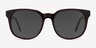Tempest Purple Brown AcetateSunglass Frames from EyeBuyDirect, Front View
