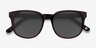 Tempest Purple Brown AcetateSunglass Frames from EyeBuyDirect, Closed View
