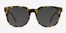 Tempest Tortoise AcetateSunglass Frames from EyeBuyDirect, Front View