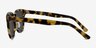 Tempest Tortoise AcetateSunglass Frames from EyeBuyDirect, Side View