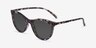 Cartel Tortoise PlasticSunglass Frames from EyeBuyDirect, Angle View