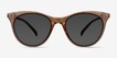 Cartel Clear Brown PlasticSunglass Frames from EyeBuyDirect, Front View