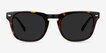 Daikon Tortoise AcetateSunglass Frames from EyeBuyDirect, Front View