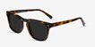 Daikon Tortoise AcetateSunglass Frames from EyeBuyDirect, Angle View