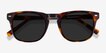 Daikon Tortoise AcetateSunglass Frames from EyeBuyDirect, Closed View