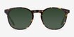 Safari Dark Tortoise AcetateSunglass Frames from EyeBuyDirect, Front View