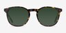 Safari Dark Tortoise AcetateSunglass Frames from EyeBuyDirect, Front View
