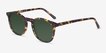 Safari Dark Tortoise AcetateSunglass Frames from EyeBuyDirect, Angle View
