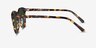 Safari Dark Tortoise AcetateSunglass Frames from EyeBuyDirect, Side View