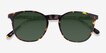 Safari Dark Tortoise AcetateSunglass Frames from EyeBuyDirect, Closed View