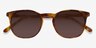 Safari Écailles AcétateSoleil de Lunette de vue d'EyeBuyDirect, Vue Rapprochée