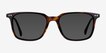 Luck Tortoise AcetateSunglass Frames from EyeBuyDirect, Front View