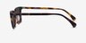 Luck Tortoise AcetateSunglass Frames from EyeBuyDirect, Side View