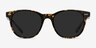 Sol Tortoise Brown AcetateSunglass Frames from EyeBuyDirect, Front View